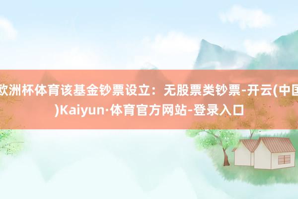 欧洲杯体育该基金钞票设立：无股票类钞票-开云(中国)Kaiyun·体育官方网站-登录入口