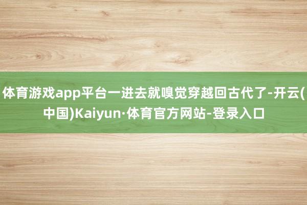 体育游戏app平台一进去就嗅觉穿越回古代了-开云(中国)Kaiyun·体育官方网站-登录入口
