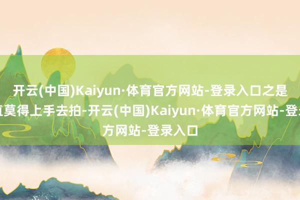 开云(中国)Kaiyun·体育官方网站-登录入口之是以一直莫得上手去拍-开云(中国)Kaiyun·体育官方网站-登录入口