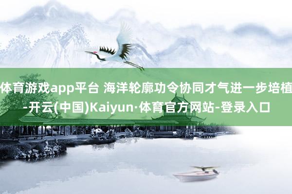 体育游戏app平台 海洋轮廓功令协同才气进一步培植-开云(中国)Kaiyun·体育官方网站-登录入口