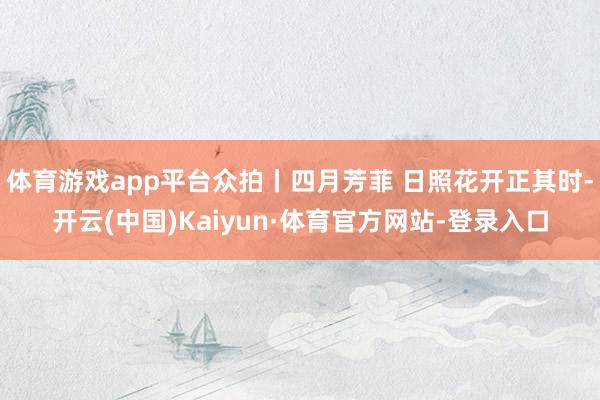 体育游戏app平台众拍丨四月芳菲 日照花开正其时-开云(中国)Kaiyun·体育官方网站-登录入口
