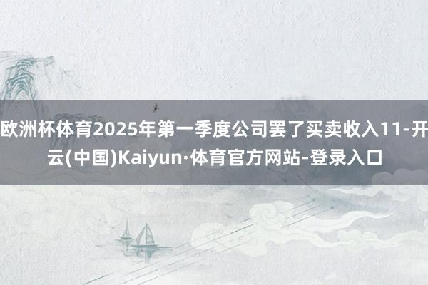 欧洲杯体育2025年第一季度公司罢了买卖收入11-开云(中国)Kaiyun·体育官方网站-登录入口
