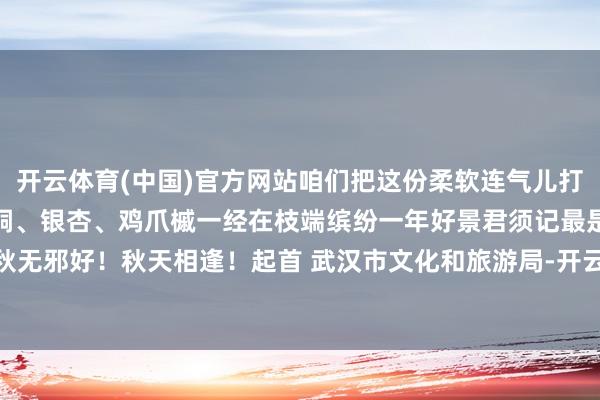 开云体育(中国)官方网站咱们把这份柔软连气儿打包送给你时节已过立冬梧桐、银杏、鸡爪槭一经在枝端缤纷一年好景君须记最是橙黄橘绿时秋无邪好！秋天相逢！起首 武汉市文化和旅游局-开云(中国)Kaiyun·体育官方网站-登录入口