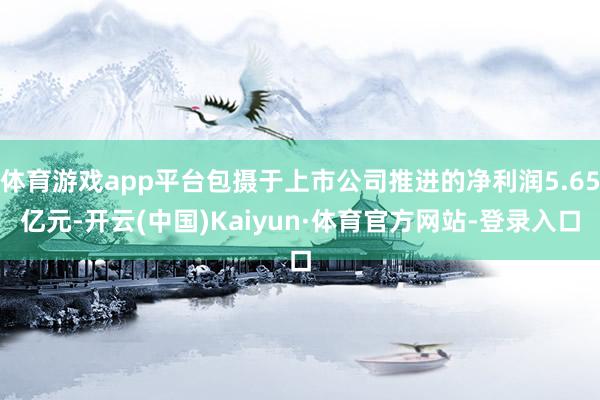 体育游戏app平台包摄于上市公司推进的净利润5.65亿元-开云(中国)Kaiyun·体育官方网站-登录入口
