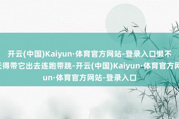 开云(中国)Kaiyun·体育官方网站-登录入口懒不下去了！每天得带它出去连跑带跳-开云(中国)Kaiyun·体育官方网站-登录入口