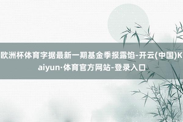 欧洲杯体育字据最新一期基金季报露馅-开云(中国)Kaiyun·体育官方网站-登录入口
