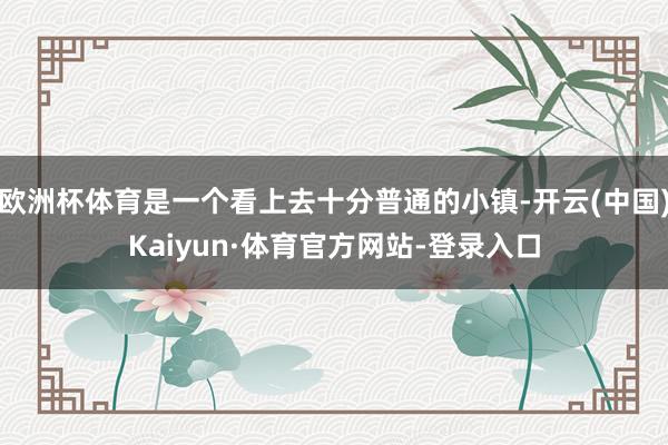 欧洲杯体育是一个看上去十分普通的小镇-开云(中国)Kaiyun·体育官方网站-登录入口