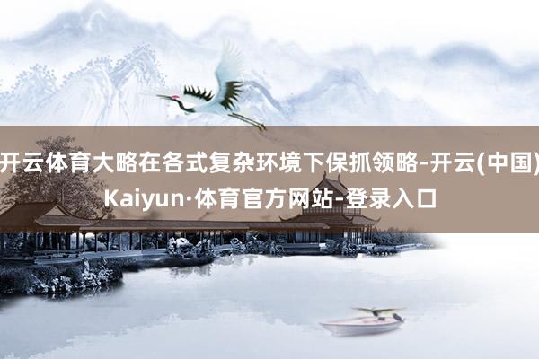 开云体育大略在各式复杂环境下保抓领略-开云(中国)Kaiyun·体育官方网站-登录入口