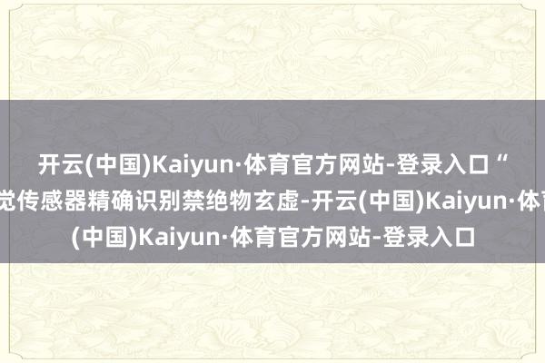 开云(中国)Kaiyun·体育官方网站-登录入口“笨笨”通过搭载的视觉传感器精确识别禁绝物玄虚-开云(中国)Kaiyun·体育官方网站-登录入口
