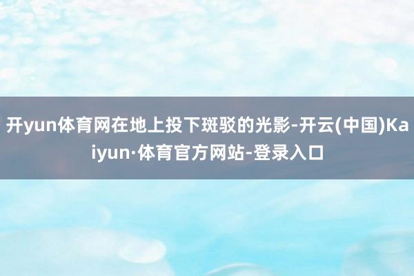 开yun体育网在地上投下斑驳的光影-开云(中国)Kaiyun·体育官方网站-登录入口
