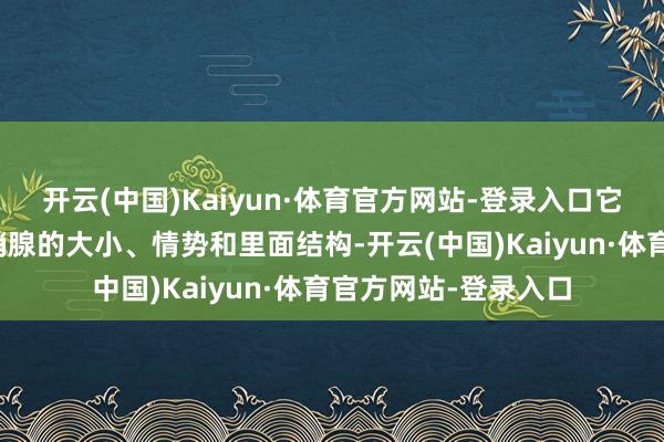 开云(中国)Kaiyun·体育官方网站-登录入口它不错明晰地披露前哨腺的大小、情势和里面结构-开云(中国)Kaiyun·体育官方网站-登录入口