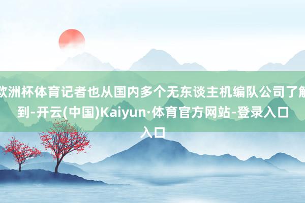 欧洲杯体育记者也从国内多个无东谈主机编队公司了解到-开云(中国)Kaiyun·体育官方网站-登录入口