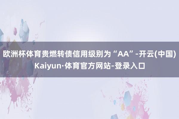 欧洲杯体育贵燃转债信用级别为“AA”-开云(中国)Kaiyun·体育官方网站-登录入口