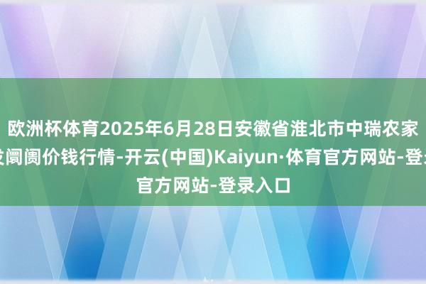 欧洲杯体育2025年6月28日安徽省淮北市中瑞农家具批发阛阓价钱行情-开云(中国)Kaiyun·体育官方网站-登录入口