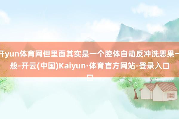 开yun体育网但里面其实是一个腔体自动反冲洗恶果一般-开云(中国)Kaiyun·体育官方网站-登录入口