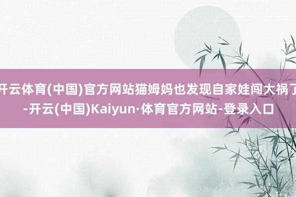 开云体育(中国)官方网站猫姆妈也发现自家娃闯大祸了-开云(中国)Kaiyun·体育官方网站-登录入口