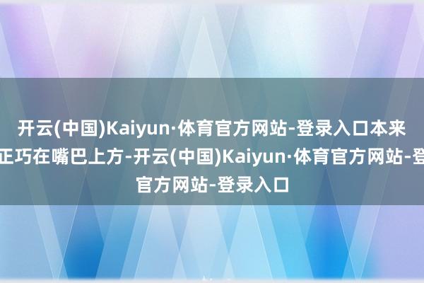 开云(中国)Kaiyun·体育官方网站-登录入口本来那红圈正巧在嘴巴上方-开云(中国)Kaiyun·体育官方网站-登录入口