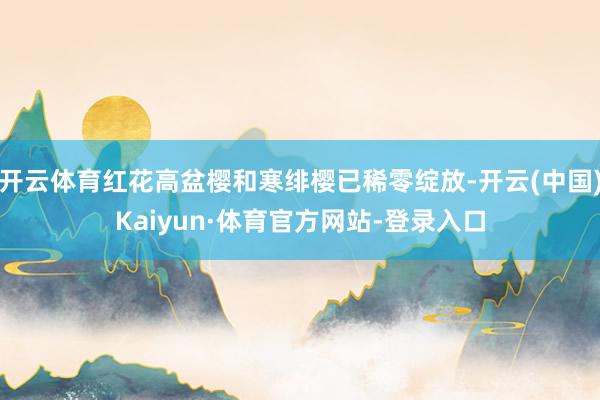 开云体育红花高盆樱和寒绯樱已稀零绽放-开云(中国)Kaiyun·体育官方网站-登录入口