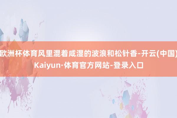 欧洲杯体育风里混着咸湿的波浪和松针香-开云(中国)Kaiyun·体育官方网站-登录入口