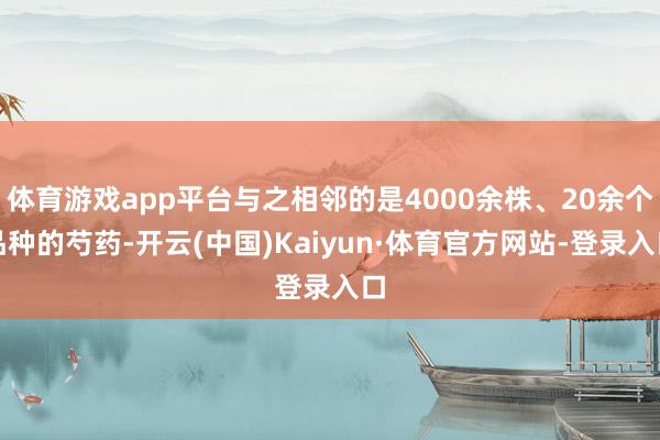 体育游戏app平台与之相邻的是4000余株、20余个品种的芍药-开云(中国)Kaiyun·体育官方网站-登录入口