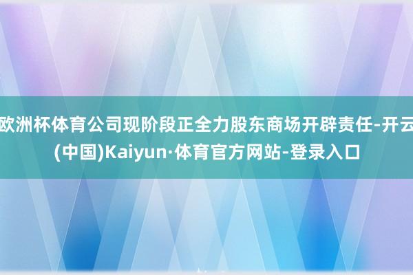 欧洲杯体育公司现阶段正全力股东商场开辟责任-开云(中国)Kaiyun·体育官方网站-登录入口
