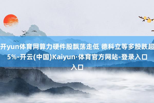 开yun体育网算力硬件股飘荡走低 德科立等多股跌超5%-开云(中国)Kaiyun·体育官方网站-登录入口