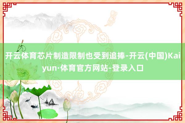开云体育芯片制造限制也受到追捧-开云(中国)Kaiyun·体育官方网站-登录入口
