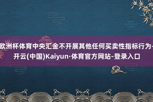 欧洲杯体育中央汇金不开展其他任何买卖性指标行为-开云(中国)Kaiyun·体育官方网站-登录入口